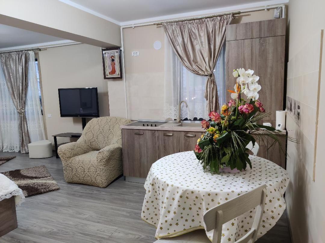 Corressy Studio Brasov Ngoại thất bức ảnh