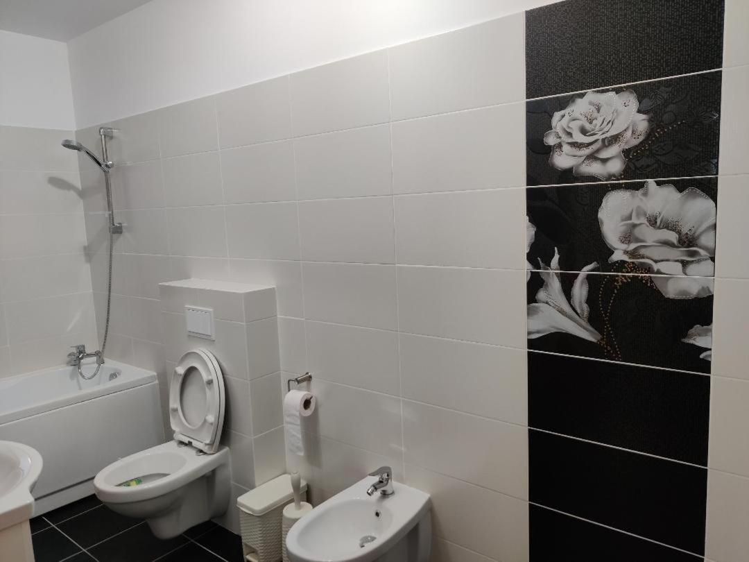 Corressy Studio Brasov Ngoại thất bức ảnh