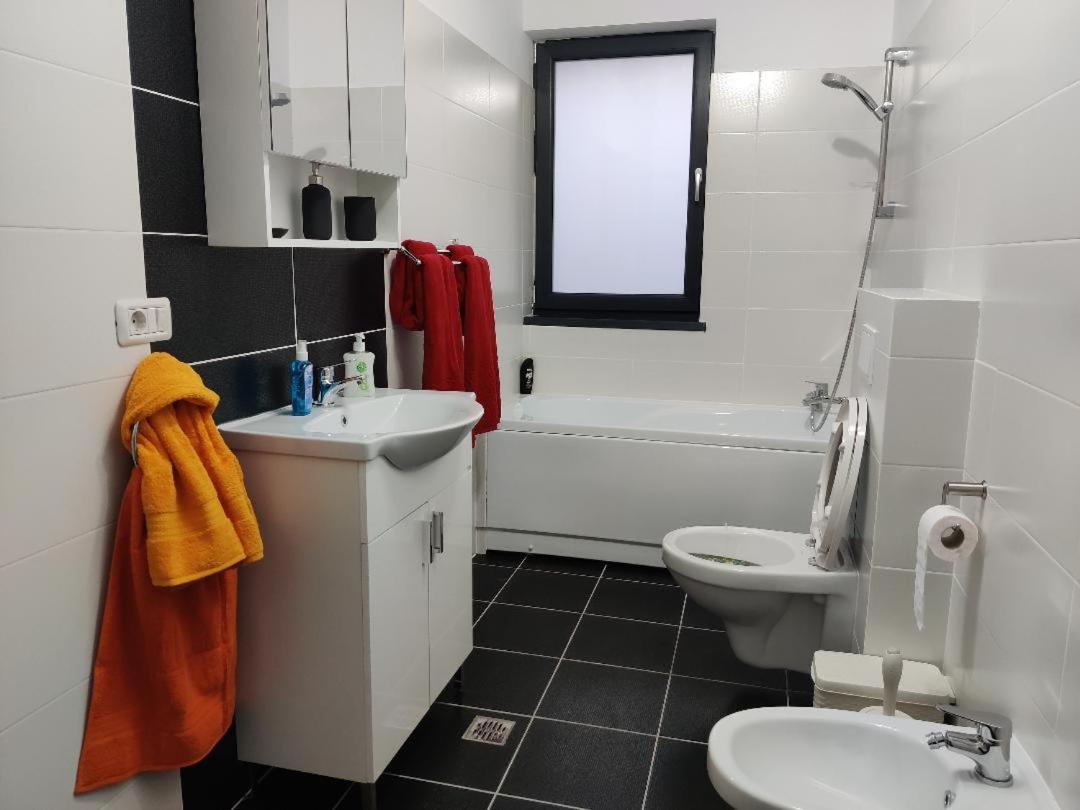 Corressy Studio Brasov Ngoại thất bức ảnh